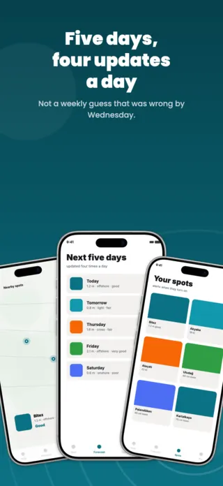 Surf and Ski Conditions App Screenshot Template, page 2 of 5
